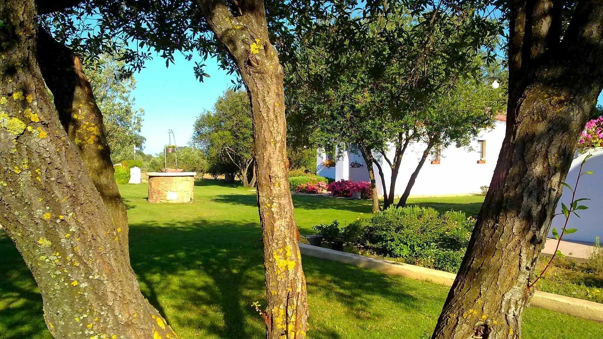 Gasthaus Agriturismo Li Scopi San Teodoro Landhaus