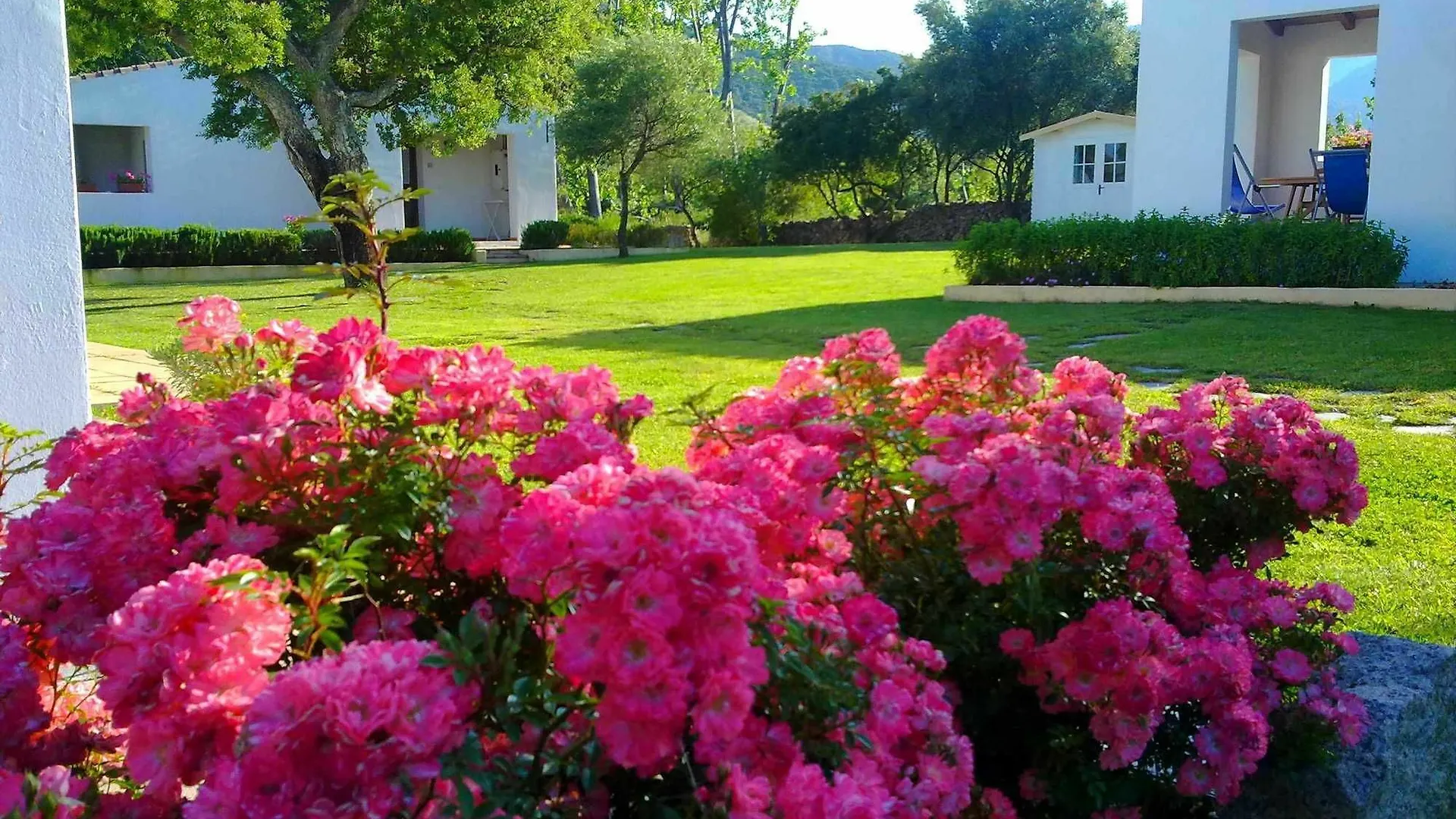 Gasthaus Agriturismo Li Scopi San Teodoro Landhaus San Teodoro (Sardinia)